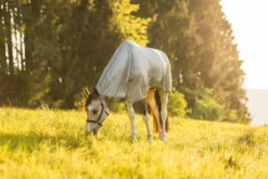 Horze La Pampa Fliegenschutz Set 37 Horze La Pampa Fliegenschutz Set -Pferdebedarf Angebote 24817 g 18