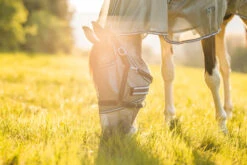 Horze La Pampa Fliegenschutz Set 38 Horze La Pampa Fliegenschutz Set -Pferdebedarf Angebote 24817 g 19