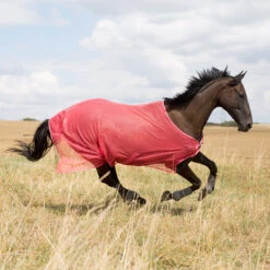 Horze Orleans Fliegendecke 32 Horze Orleans Fliegendecke -Pferdebedarf Angebote 24835 SCPI 1
