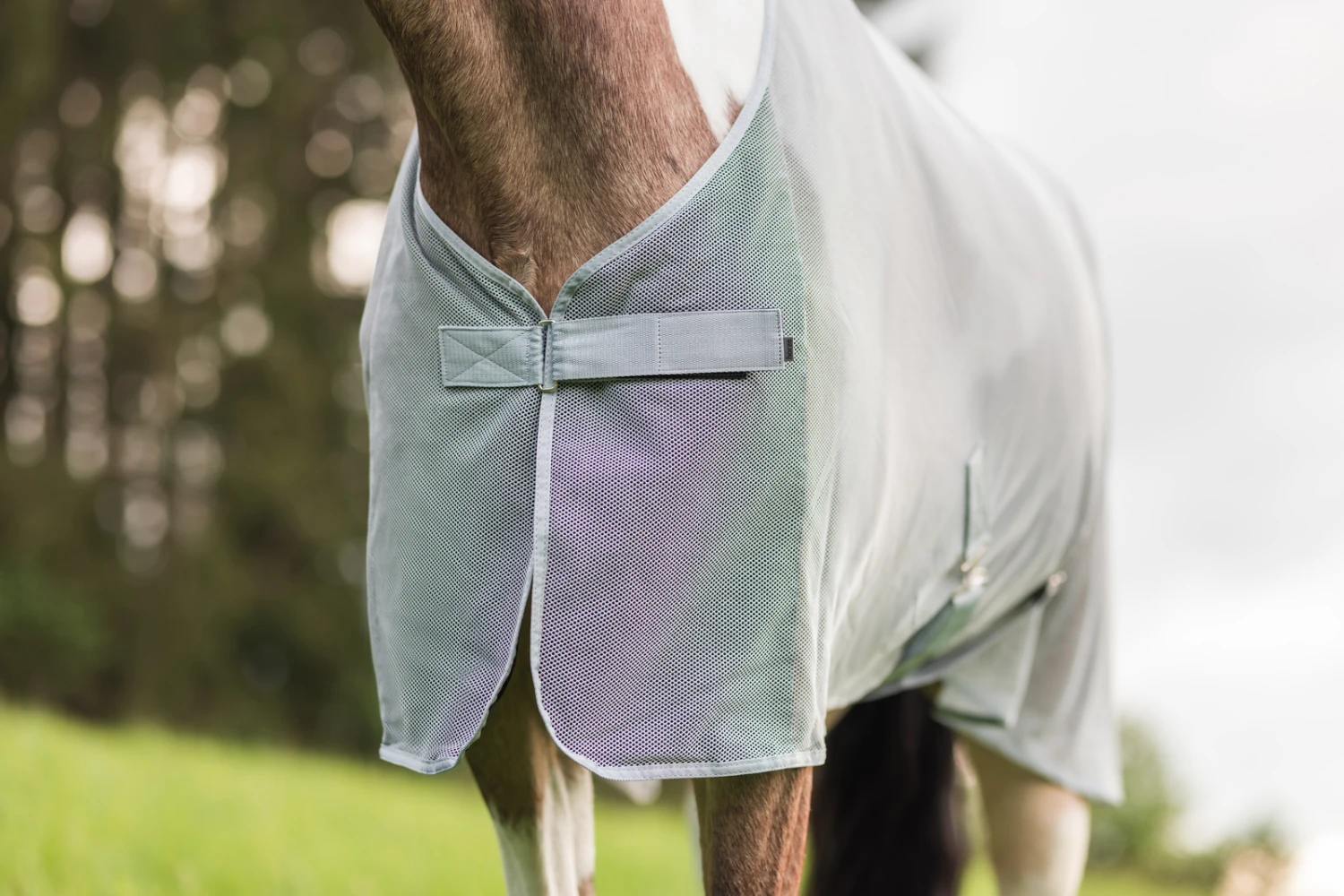 Horze Orleans Fliegendecke 11 Horze Orleans Fliegendecke – Bild 11