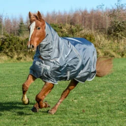 Bucas Smartex Combi Neck, 0g 25 Bucas Smartex Combi Neck, 0g -Pferdebedarf Angebote 24860 IG 1