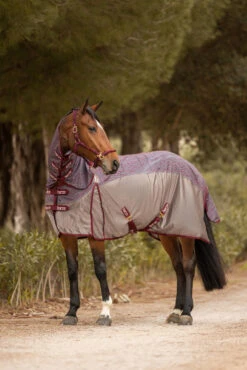 Horze Kenya Fliegendecke Mit Festem Halsteil 15 Horze Kenya Fliegendecke Mit Festem Halsteil -Pferdebedarf Angebote 24864 251 08