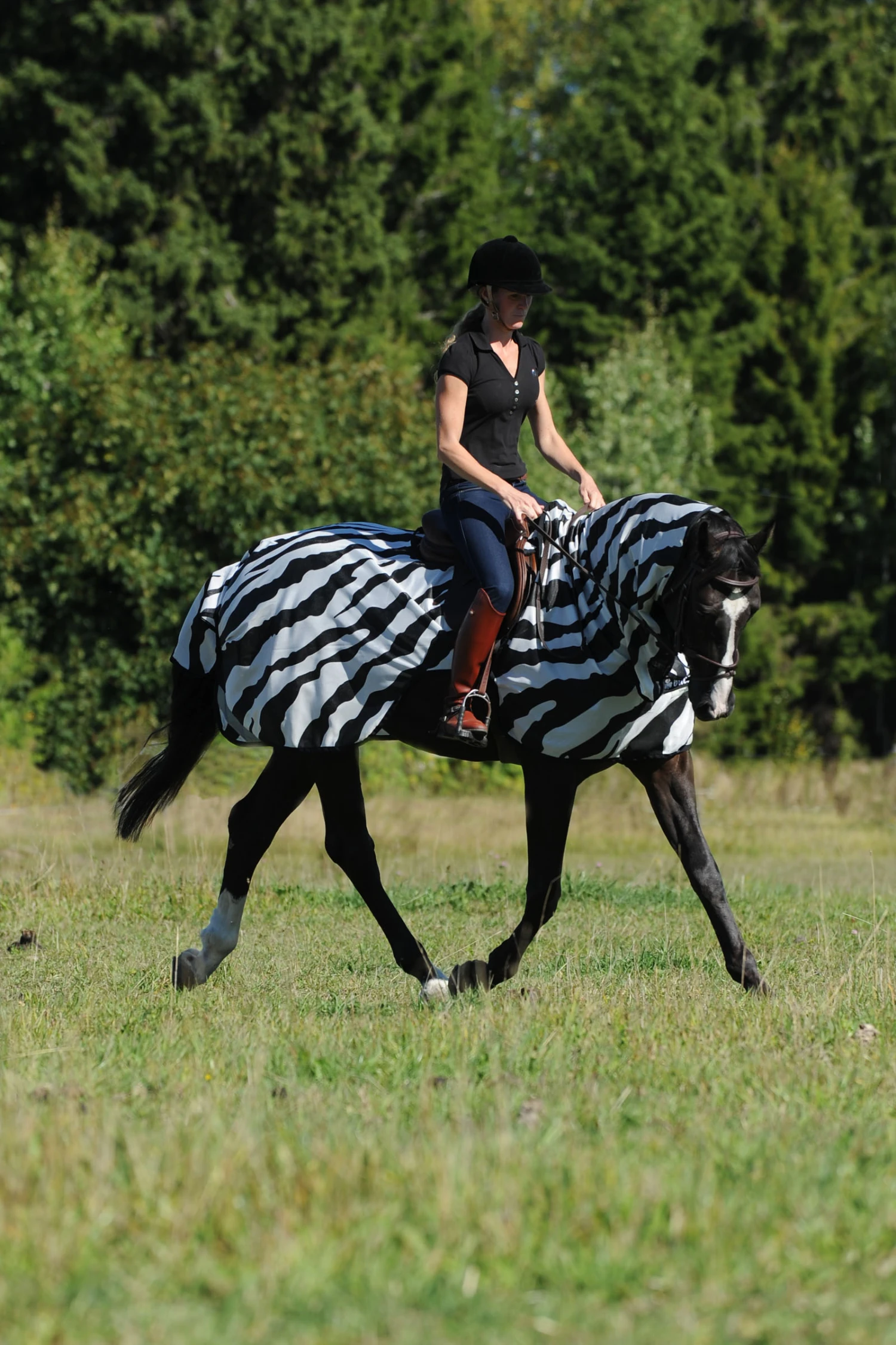 Bucas Buzz-Off Riding Zebra Fliegenausreitdecke 1 Bucas Buzz-Off Riding Zebra Fliegenausreitdecke