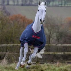 Bucas Freedom Turnout Light Regendecke, 0g -Pferdebedarf Angebote 300455 GDG 3