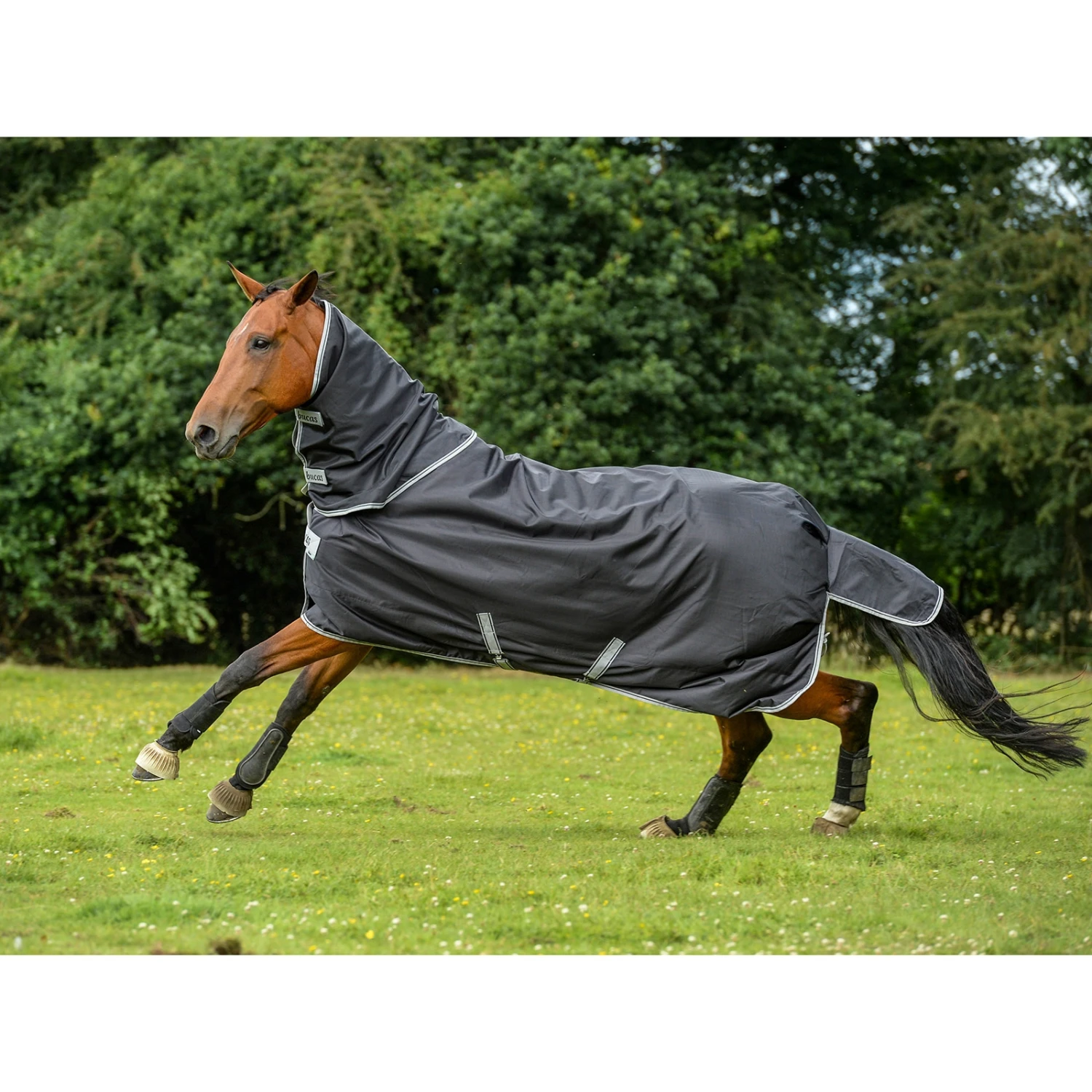 Bucas Smartex Combi Neck Halsteil 300 2 Bucas Smartex Combi Neck Halsteil 300 – Bild 2