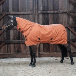 Kentucky Horsewear All Weather Halsteil 150g -Pferdebedarf Angebote 306135 ASOR 2