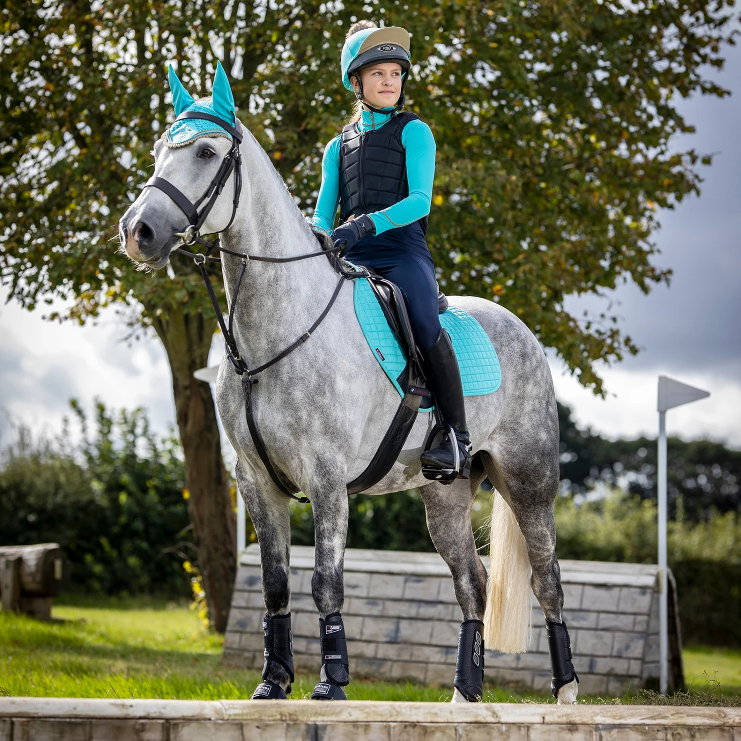 LeMieux Luxuriöse Saisonale Schabracke CC 2 LeMieux Luxuriöse Saisonale Schabracke CC – Bild 2