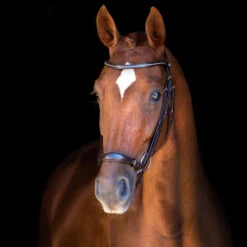 Schockemöhle Copenhagen Trense -Pferdebedarf Angebote 306265 DBR SI 3