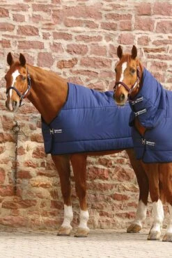 Horseware Unterdecke, 300g 5 Horseware Unterdecke, 300g -Pferdebedarf Angebote 307439 DB DB 3