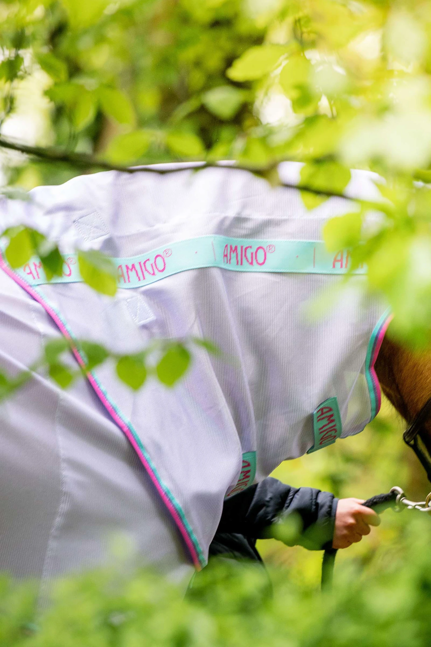 Horseware Amigo Pony Fliegendecke 3 Horseware Amigo Pony Fliegendecke – Bild 3