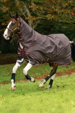 Horseware Amigo Halsteil, 0g -Pferdebedarf Angebote 307509 BR RE GO 2