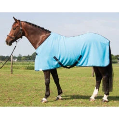 Harry's Horse Abschwitzdecke -Pferdebedarf Angebote 308924 TB 2