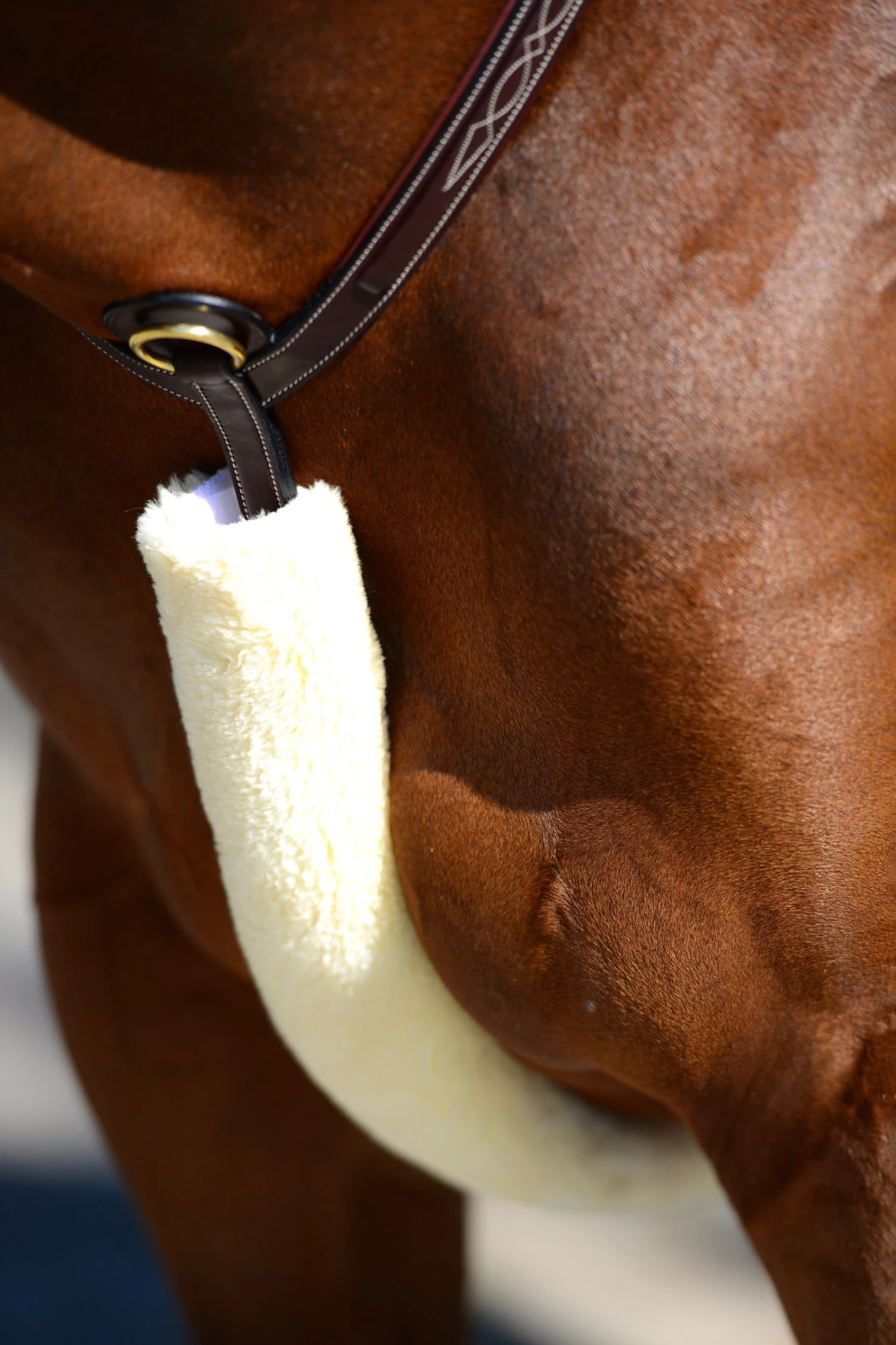 Kentucky Horsewear Lammfell Brustriemen-Schutz 3 Kentucky Horsewear Lammfell Brustriemen-Schutz – Bild 3