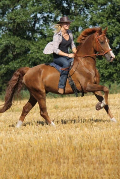 F.R.A. Cavallo Hufschuh Simple -Pferdebedarf Angebote 314920 BR 3