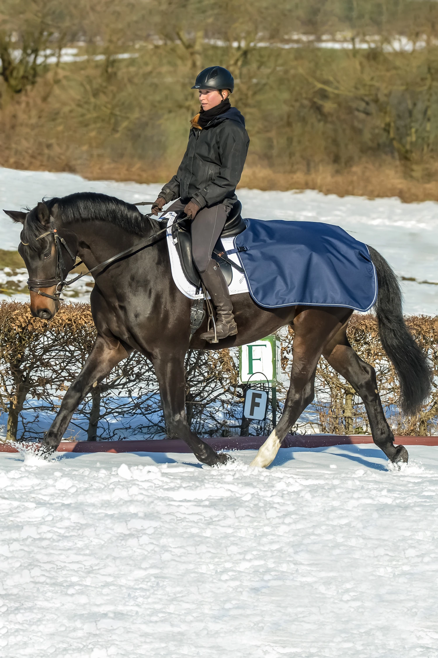 Bucas Ausreitdecke 1 Bucas Ausreitdecke