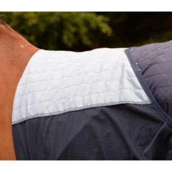 Pferdebedarf Angebote -Pferdebedarf Angebote 316877 DB SI 2