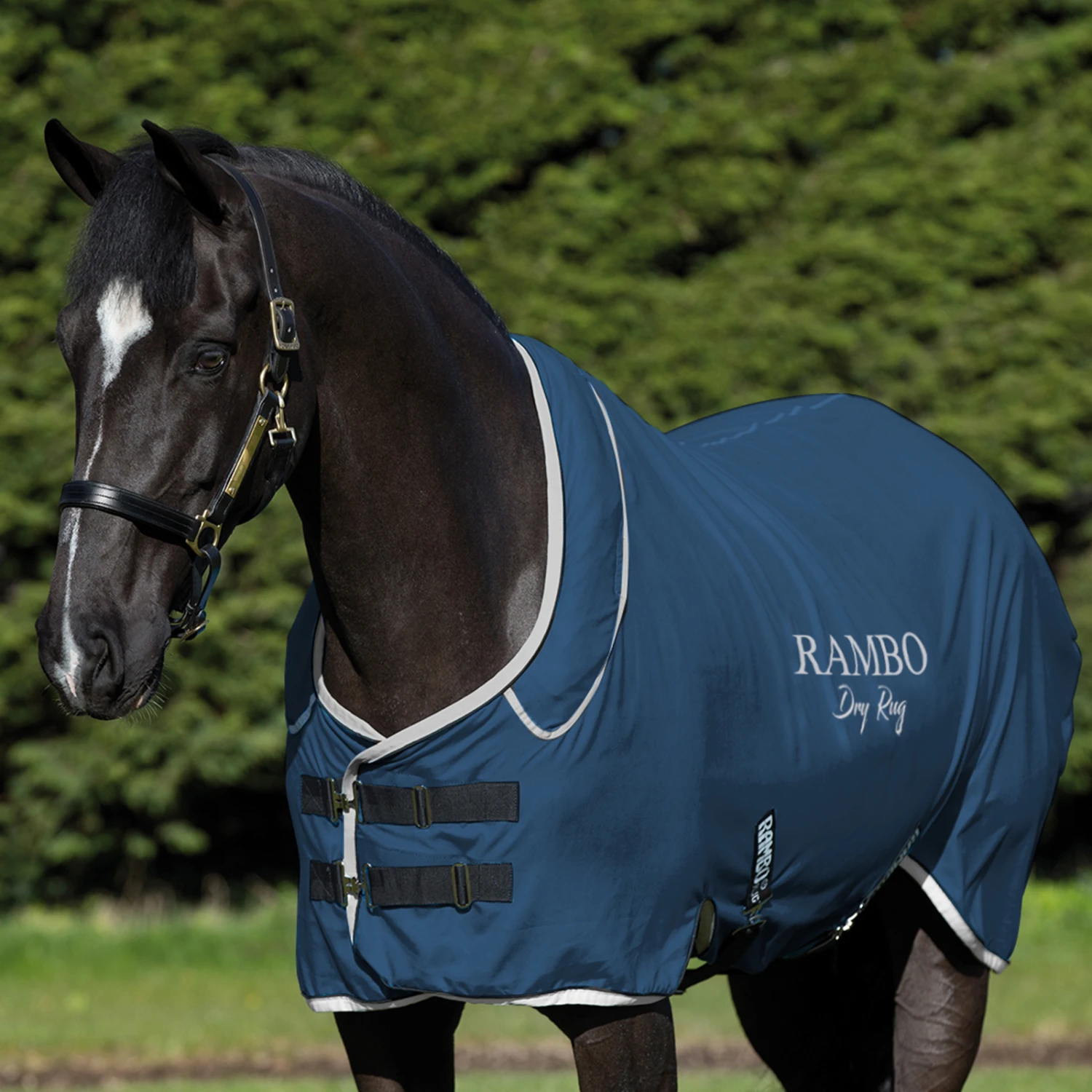 Horseware Rambo Dry Rug Supreme Abschwitzdecke 4 Horseware Rambo Dry Rug Supreme Abschwitzdecke – Bild 4