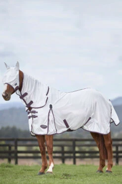 Weatherbeeta Comfitec Essential Mesh Maske -Pferdebedarf Angebote 317416 WH DRE 2