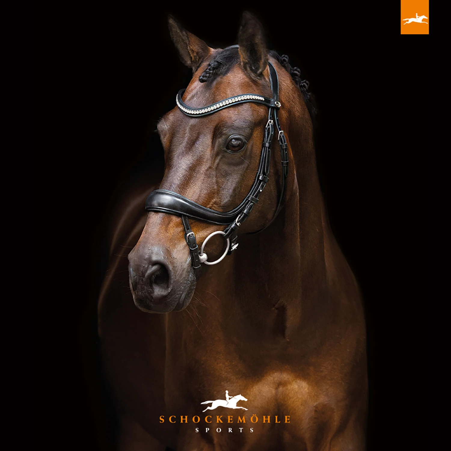 Schockemöhle Equitus Beta Anatomische Spezialtrense 3 Schockemöhle Equitus Beta Anatomische Spezialtrense – Bild 3