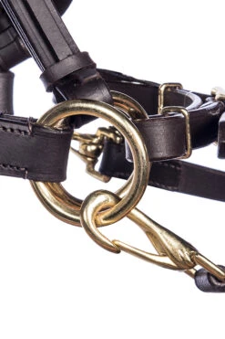 F.R.A. Pariba Sidepull (System 3) Mit Geflochtenem Nasenriemen, Inkl. Zügel -Pferdebedarf Angebote 322922 BR BRS 2