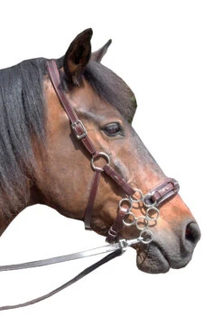 FRA Aram Hackamore (System 2) Leather, Jaw Straps, W/ Scissors -Pferdebedarf Angebote 322944 DBR 1