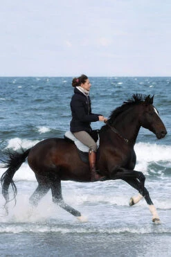 FRA Macon Extra Lammfell Reitkissen Mit Pauschen, S -Pferdebedarf Angebote 322957 BL G 2