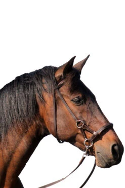 FRA Pardoes Sidepull (System 3) Leder Mit Anti Slip Zügeln 5 FRA Pardoes Sidepull (System 3) Leder Mit Anti Slip Zügeln -Pferdebedarf Angebote 322960 BR 2