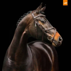 Schockemöhle Rio Select Trense 11 Schockemöhle Rio Select Trense -Pferdebedarf Angebote 326305 DBR SI 2