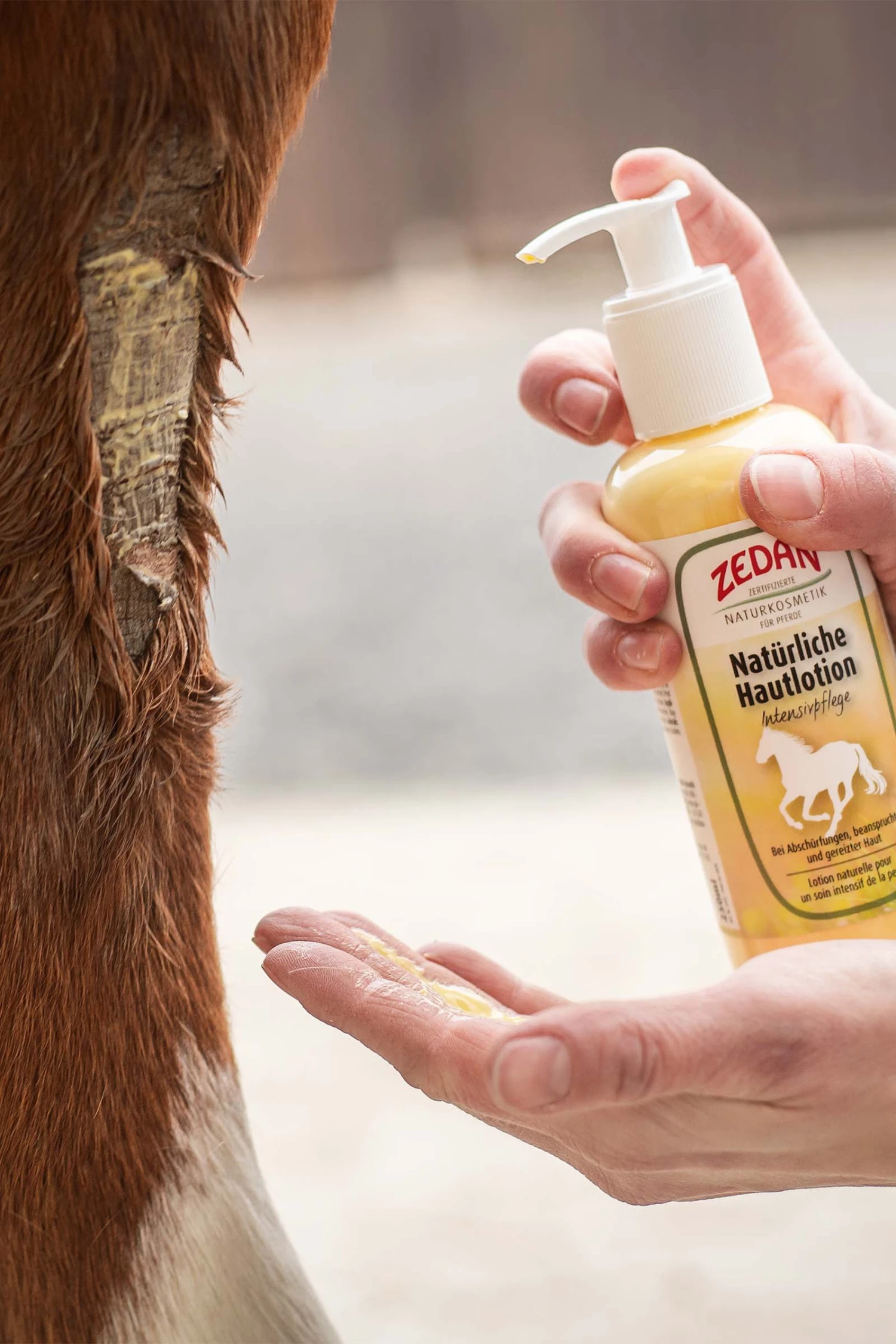 Zedan Natürliche Hautlotion Intensivpflege, Haut, 250ml 2 Zedan Natürliche Hautlotion Intensivpflege, Haut, 250ml – Bild 2