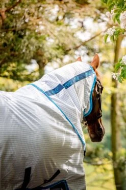 Horseware Amigo Aussie Allrounder Disc Fliegendecke Mit Abnehmbarem Halsteil 13 Horseware Amigo Aussie Allrounder Disc Fliegendecke Mit Abnehmbarem Halsteil -Pferdebedarf Angebote 329269 DB EB 5