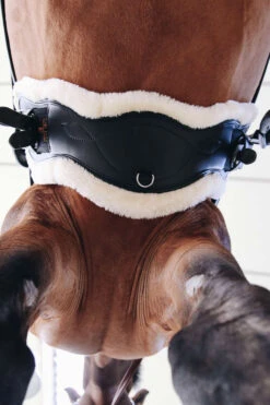 Kentucky Horsewear Lederkurzgurt Sheepskin Dressage 11 Kentucky Horsewear Lederkurzgurt Sheepskin Dressage -Pferdebedarf Angebote 329961 BL 5