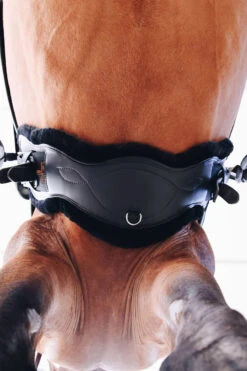 Kentucky Horsewear Lederkurzgurt Sheepskin Dressage 12 Kentucky Horsewear Lederkurzgurt Sheepskin Dressage -Pferdebedarf Angebote 329961 BL 6