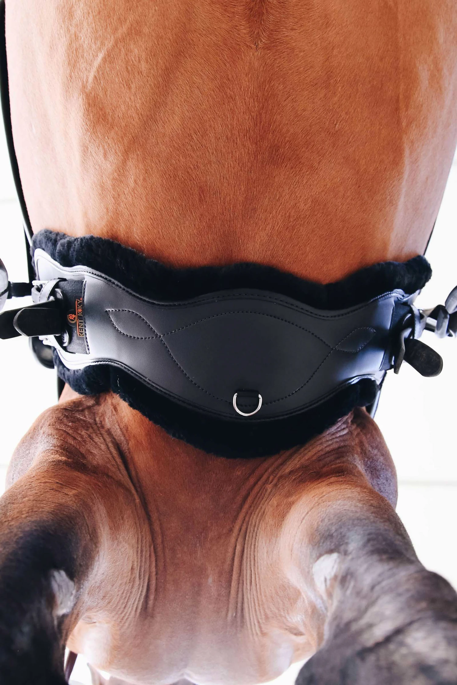 Kentucky Horsewear Lederkurzgurt Sheepskin Dressage 6 Kentucky Horsewear Lederkurzgurt Sheepskin Dressage – Bild 6