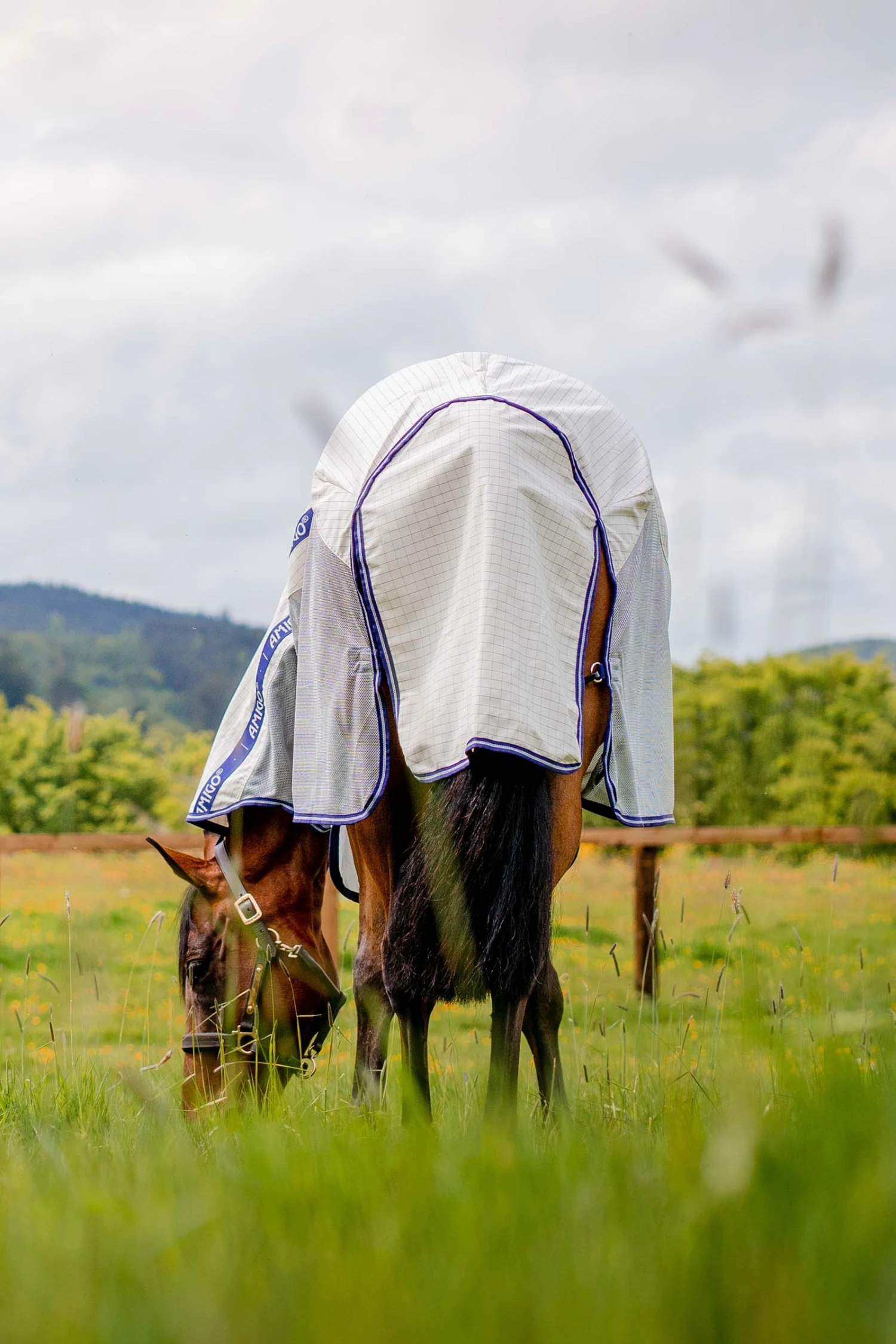 Horseware Amigo Airflow Fliegendecke Mit Abnehmbarem Halsteil 6 Horseware Amigo Airflow Fliegendecke Mit Abnehmbarem Halsteil – Bild 6