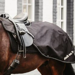 Back On Track Sammy Ausreitdecke, 50g 11 Back On Track Sammy Ausreitdecke, 50g -Pferdebedarf Angebote 331628 BL 4