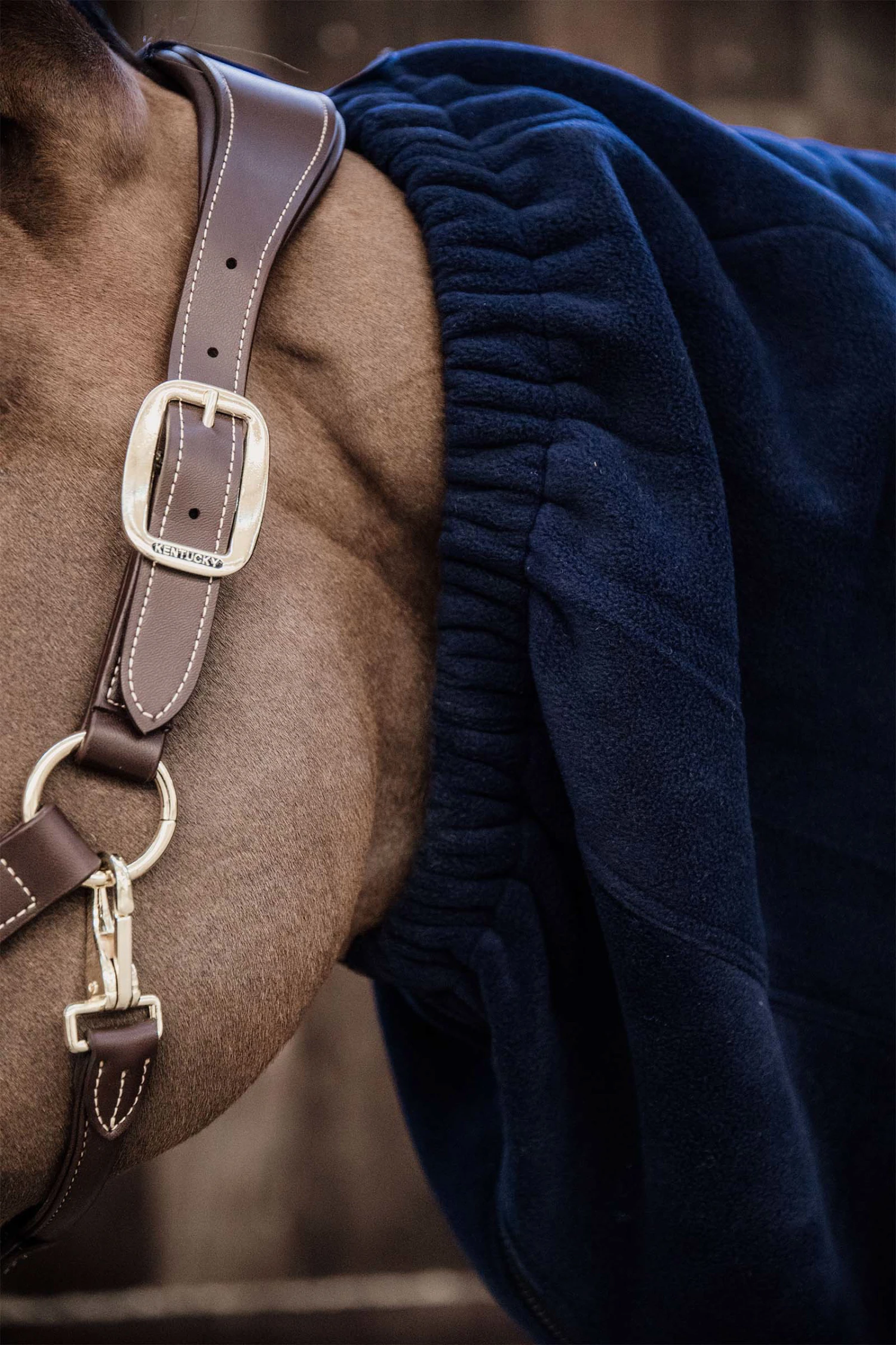 Kentucky Horsewear Heavy Fleece Halsdecke 3 Kentucky Horsewear Heavy Fleece Halsdecke – Bild 3