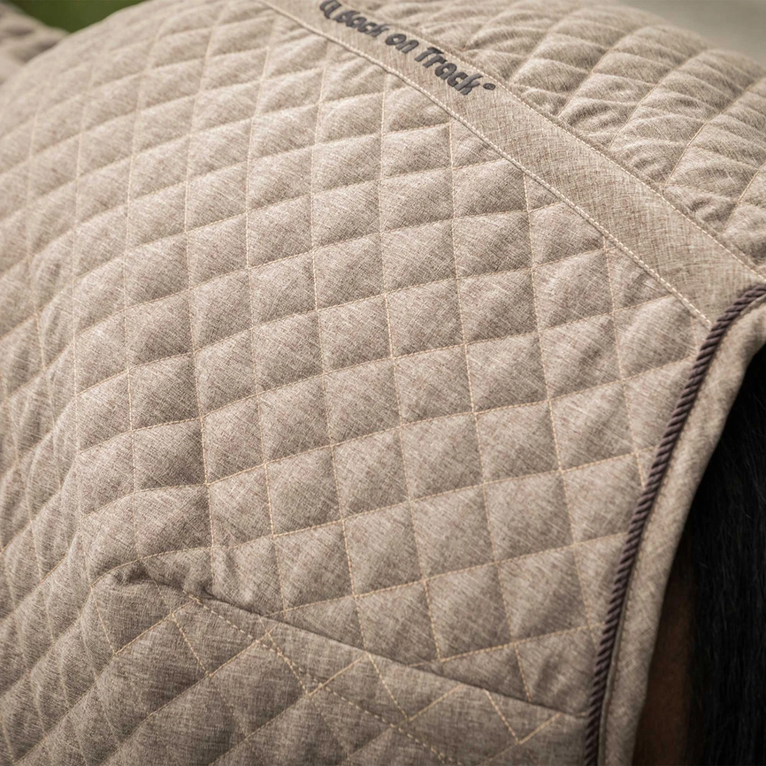 Back On Track Haze Kollektion Gesteppte Stalldecke, 200g (125-135cm) 7 Back On Track Haze Kollektion Gesteppte Stalldecke, 200g (125-135cm) – Bild 7