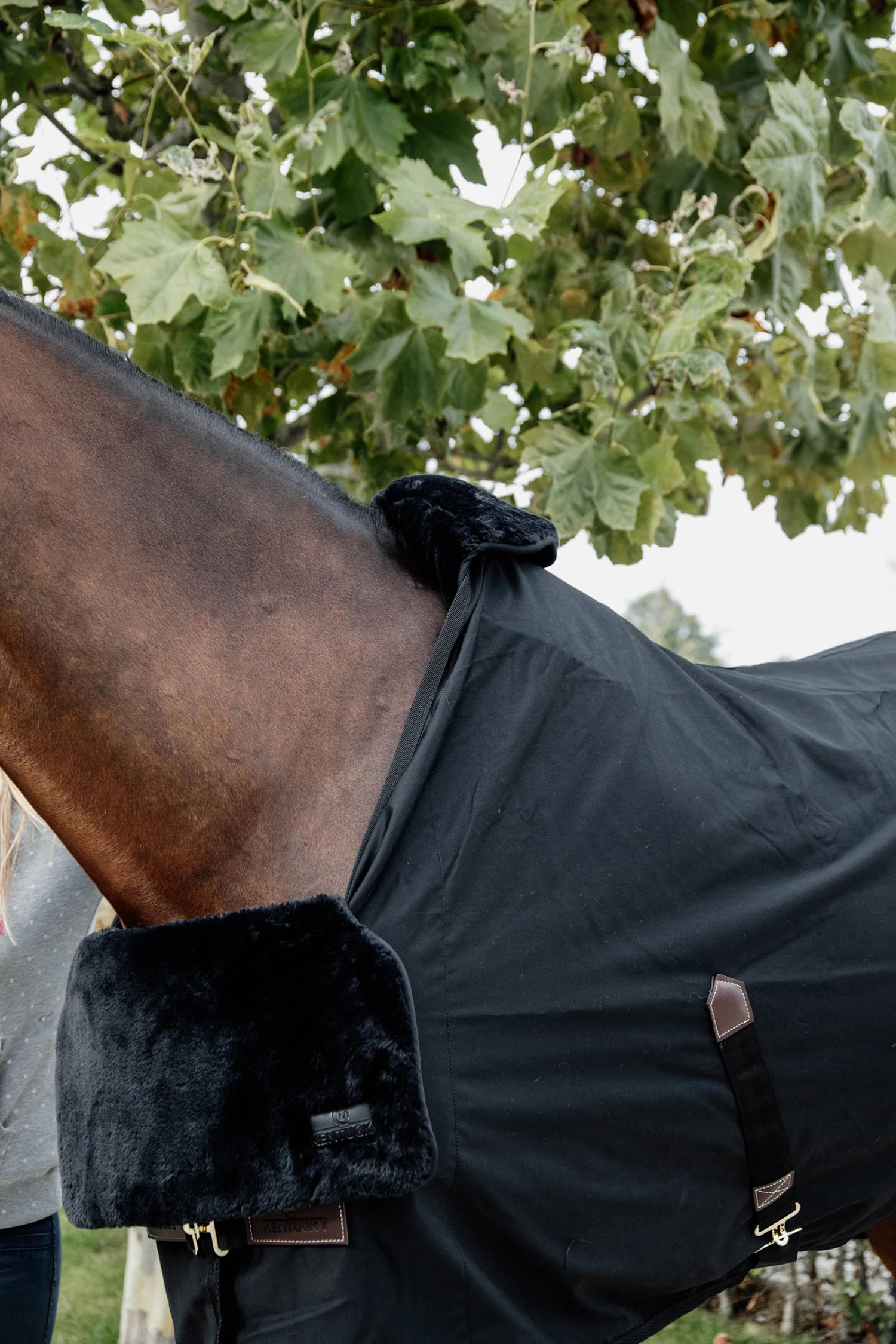 Kentucky Horsewear Horse Bib Lammfell Widerristschutz 1 Kentucky Horsewear Horse Bib Lammfell Widerristschutz