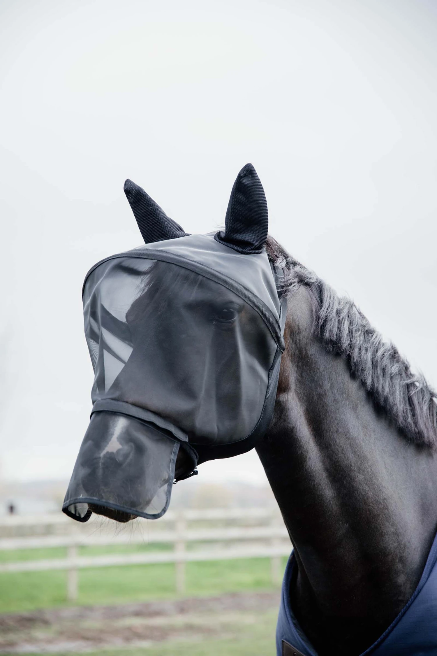 Kentucky Horsewear Pro Fliegenmaske 1 Kentucky Horsewear Pro Fliegenmaske