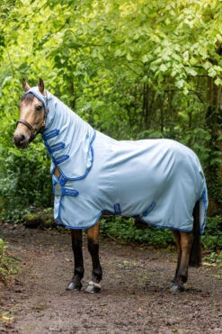 Pferdebedarf Angebote 43 Horseware Amigo Hoody Pony Ekzemer Decke Mit Festem Halsteil