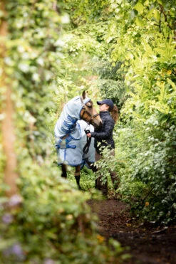 Pferdebedarf Angebote -Pferdebedarf Angebote 334222 ABB SGB SI 2