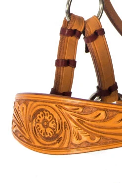 F.R.A. Diego Gebisslose Trense -Pferdebedarf Angebote 334265 NAT 9