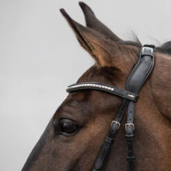 Schockemöhle Equitus Rho Genickstück 7 Schockemöhle Equitus Rho Genickstück -Pferdebedarf Angebote 335287 BL SI 3