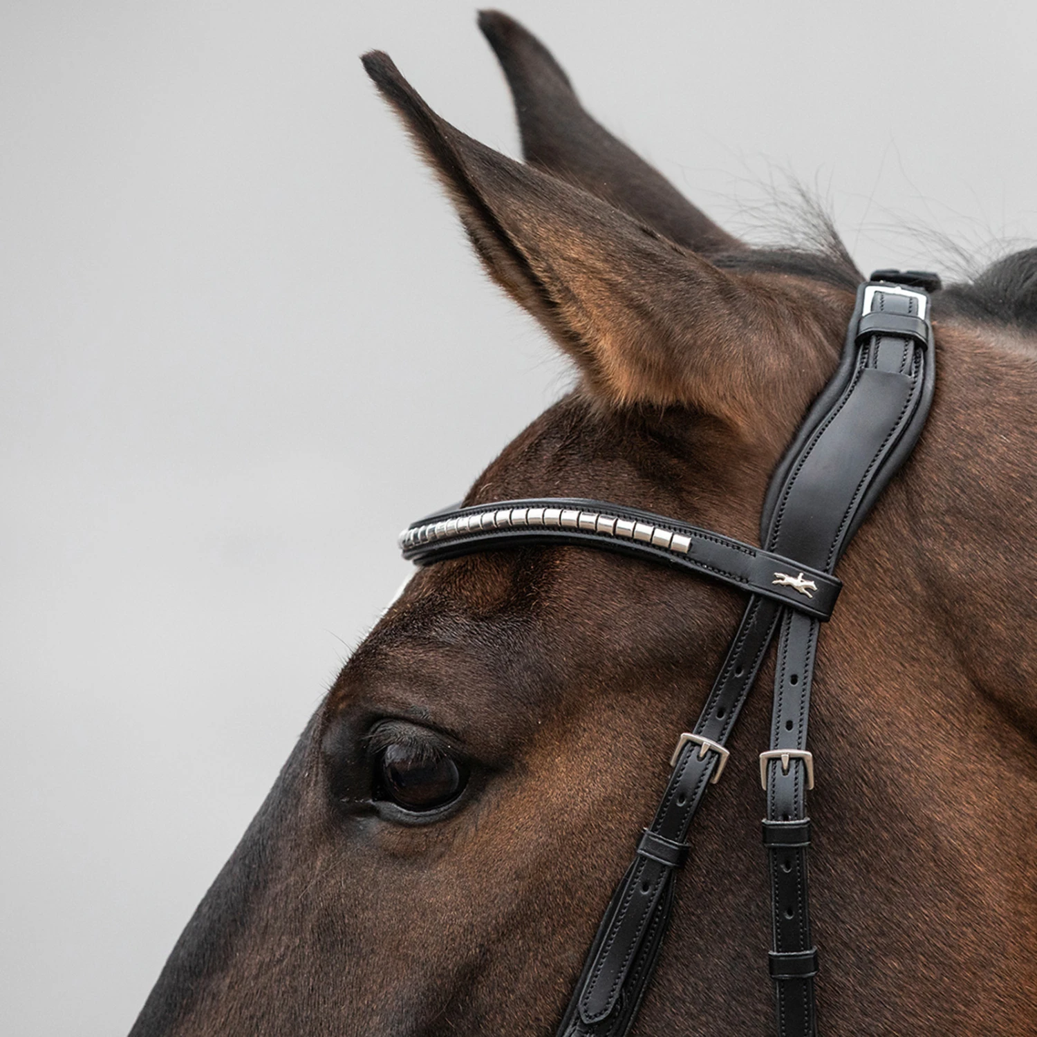 Schockemöhle Equitus Rho Genickstück 3 Schockemöhle Equitus Rho Genickstück – Bild 3