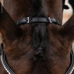Schockemöhle Equitus Rho Genickstück 8 Schockemöhle Equitus Rho Genickstück -Pferdebedarf Angebote 335287 BL SI 4