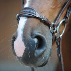 Kavalkade Levana Trense -Pferdebedarf Angebote 335722 BR 2