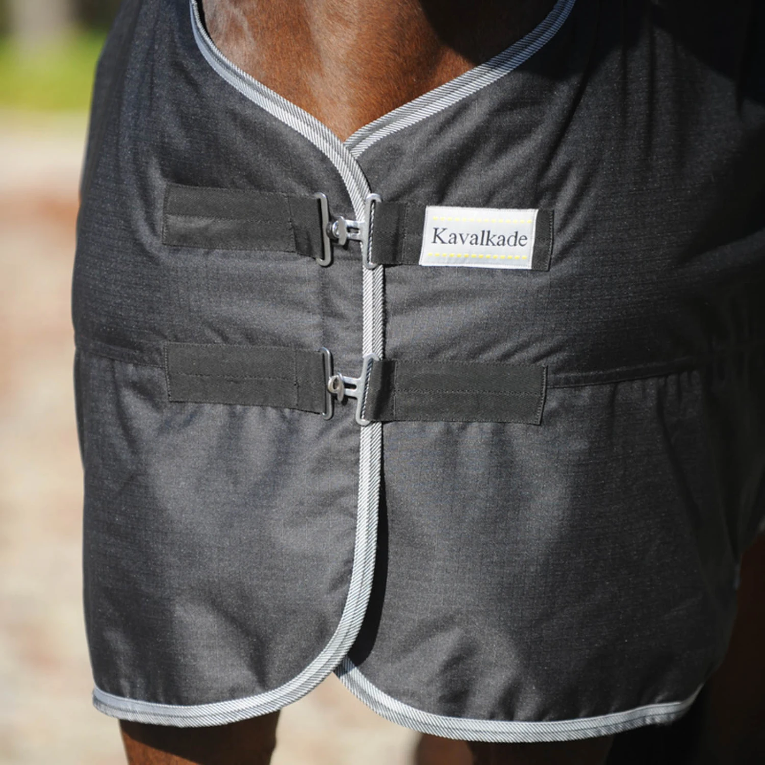 Kavalkade Winnipeg Weidedecke, 50g 2 Kavalkade Winnipeg Weidedecke, 50g – Bild 2