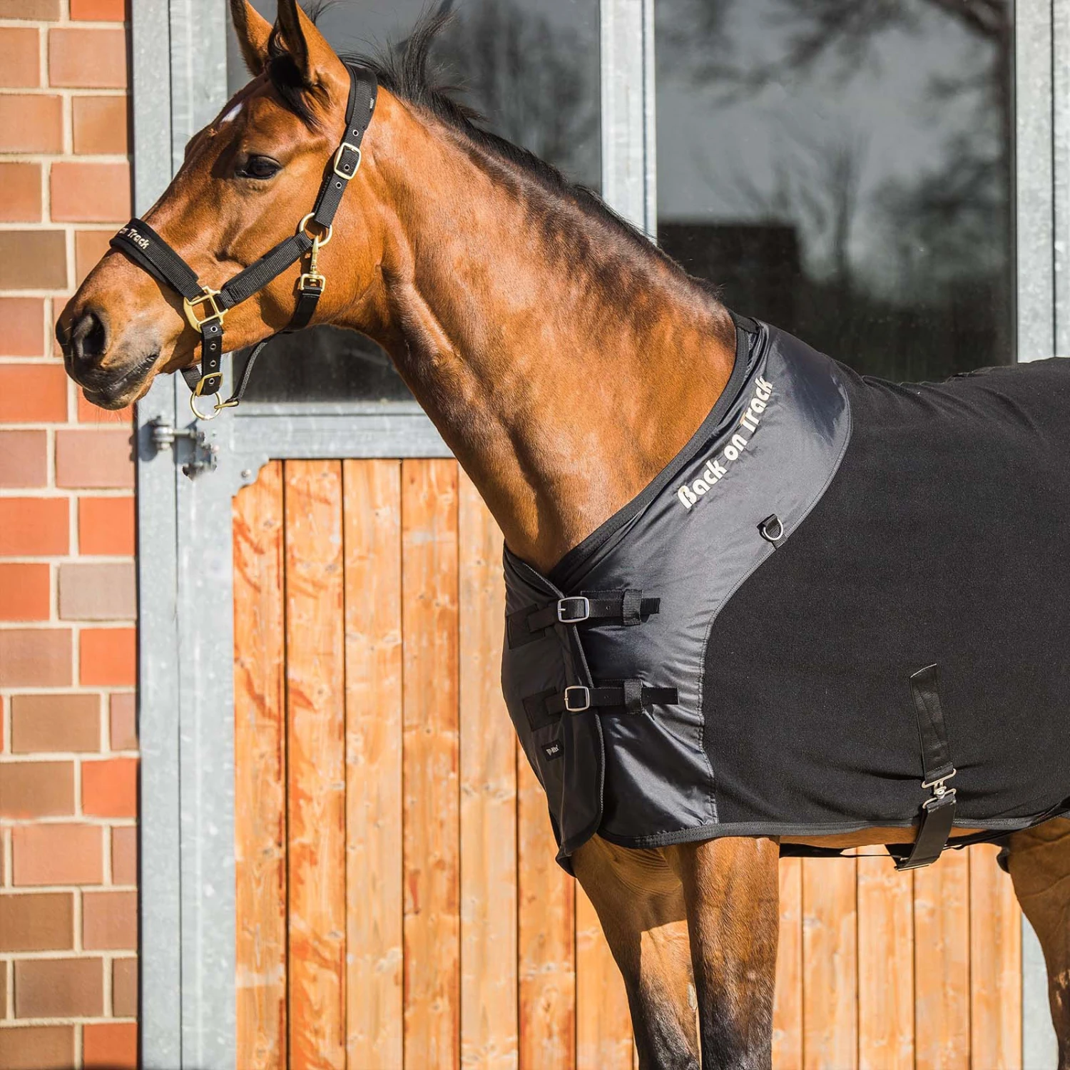 Back On Track Supreme Fleecedecke 5 Back On Track Supreme Fleecedecke – Bild 5