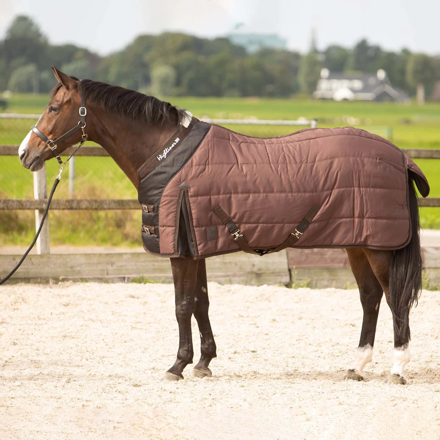 Harry's Horse Highliner Stalldecke, 200g 1 Harry's Horse Highliner Stalldecke, 200g