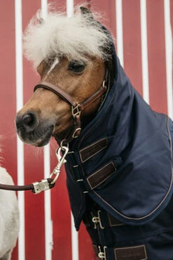 Kentucky Horsewear Pony All Weather Classic Weidedecke, 0g -Pferdebedarf Angebote 336885 DB 3